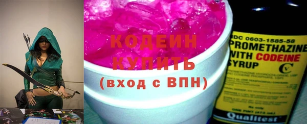 дмт Лабытнанги
